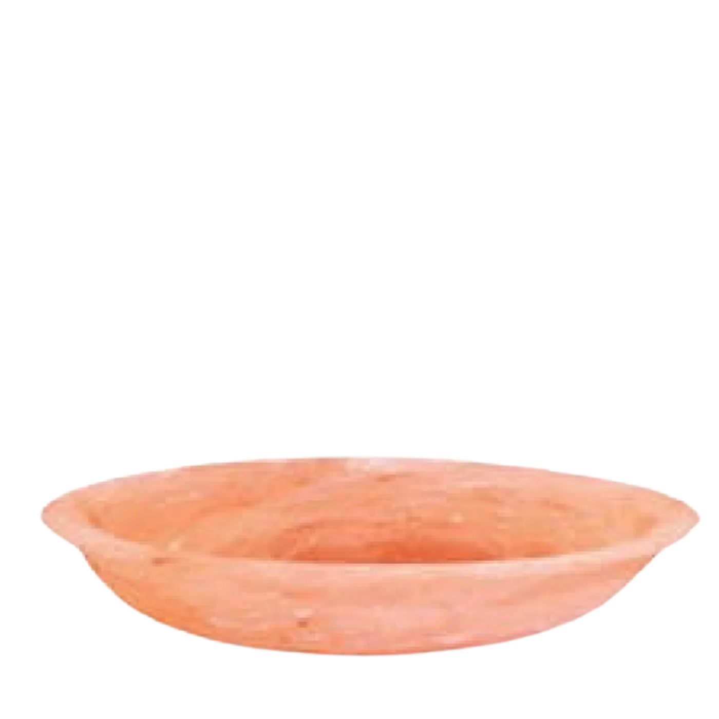 animal licking salt chunks 1.webp