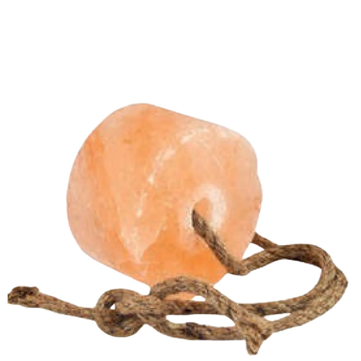 animal licking salt chunks.webp