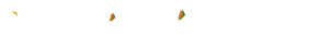 group 11.png